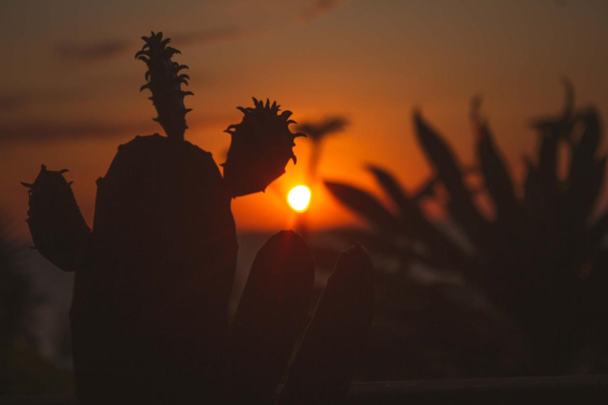 אמבהטולואקה Coucher De Soleil מראה חיצוני תמונה
